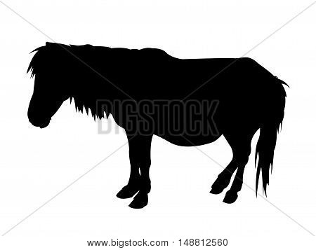 Pony Silhouette on White Background. Isolated vector illustration animal theme.