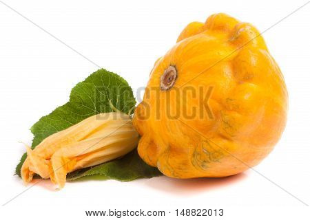 yellow pattypan squash with leaf and flower isolated on white background.