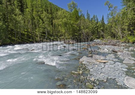 The Kucherla river. Sunny summer day. Altai Mountains Russia.