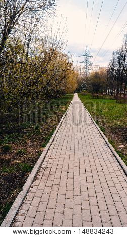 the sidewalk is lined with pavement goes away in the spring Park