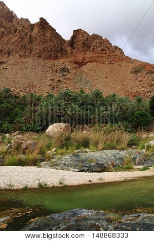 Wadi Tiwi