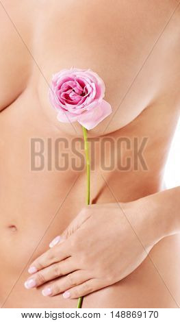 Perfect female body witg pink rose.