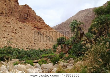 Wadi Tiwi