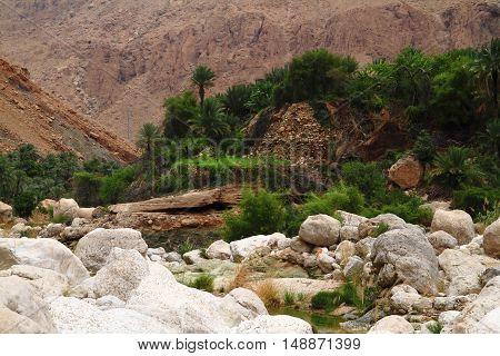 Wadi Tiwi