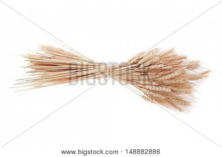bunch of mown wheat ears with vintage handmade reaper hook sickle isolated on white background