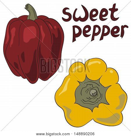 Set of colored bell peppers vector illustration
