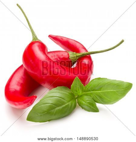red chili or chilli cayenne pepper isolated on white  background cutout