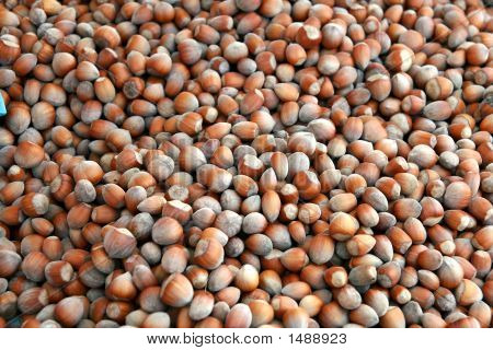 Hazelnuts Background