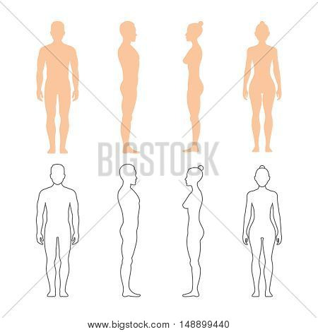 Male and female human vector silhouettes. Man and woman bodies illustration