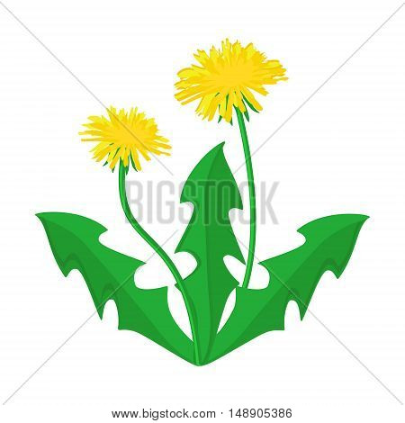 Vector illustration summer flower yellow dandelion. Dandelion vector icon logo.