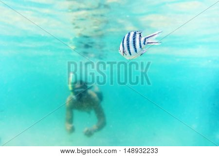 Skin diving or snokerling at shallow of beach distrub the sea life
