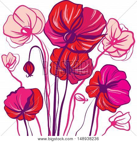 Decorative line drawing bright red and pink poppy flowers on a white background gentle romantic drawing application