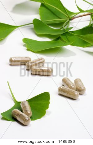 Ginkgo Biloba