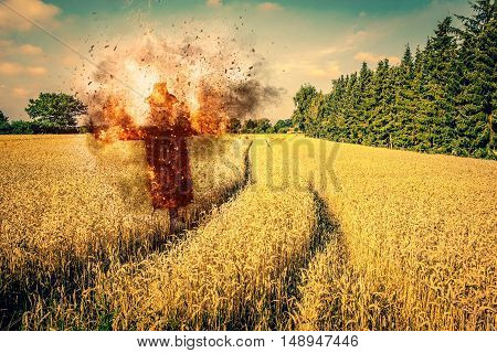 Scarecrow on fire on a field with dry grain