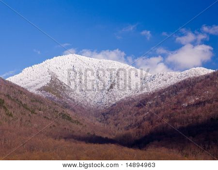 Mount Leconte i sne i Great Smoky Mountains