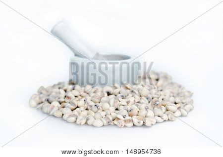 Millet Rice Bean, Millet Grains Isolated On White