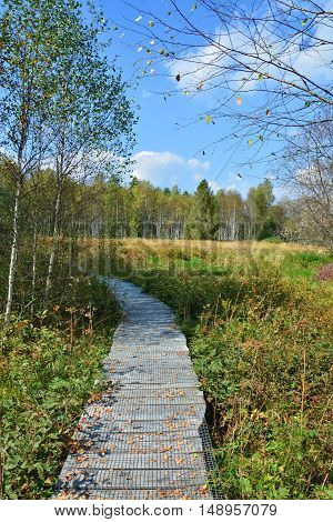 Path Through The Peatbog