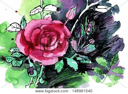Freehand painted pink rose flower bouquet isolated on white