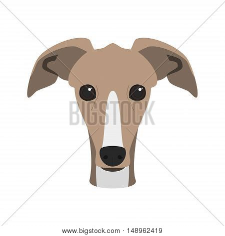 Greyhound Dog Isolated On White Background Vector Illustration
