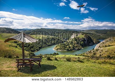 Griffon vulture flying over meanders of Uvac river in southwest Serbia.