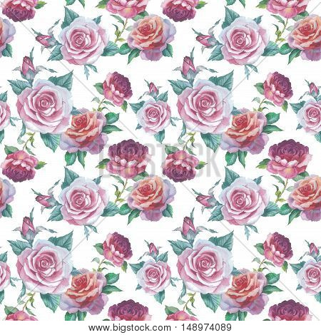 Wildflower rose flower pattern in a watercolor style isolated. Full name of the plant: rose, platyrhodon, rosa. Aquarelle flower could be used for background, texture, pattern, frame or border.