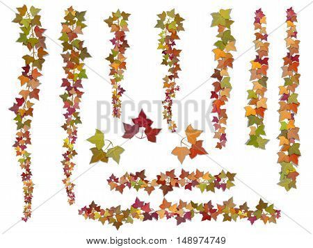 Set of autumn vector ivy branches growing from the top downwards and upwards. This elements can be used as a Art Brush to create of any curled from for decorate card frames and corners.