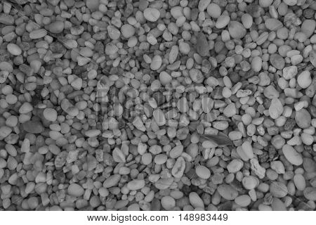 Texture Of The Stones. Sea Stones. Sea Stones Background