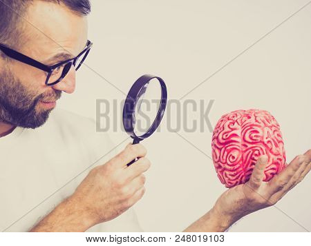 Adult Nerd Man Wearing Eyeglasses Looking At Human Brain Model. Thinking And Intelligence Conept