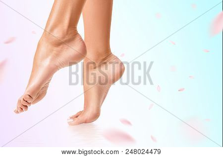 Beautiful Female Feet. Legs Care Concept. Over Background With Swirl Petals