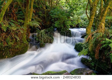Long Exposure Of A River Surrounded In Lush Flora