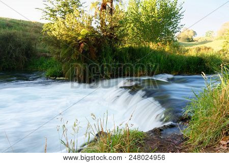A River In The Early Morning In Waikato, New Zealand