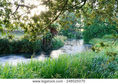A River In The Early Morning In Waikato, New Zealand