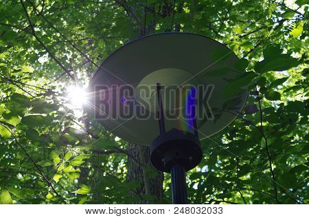 A Street Lantern Hidden By Trees In A Park In Ludvika