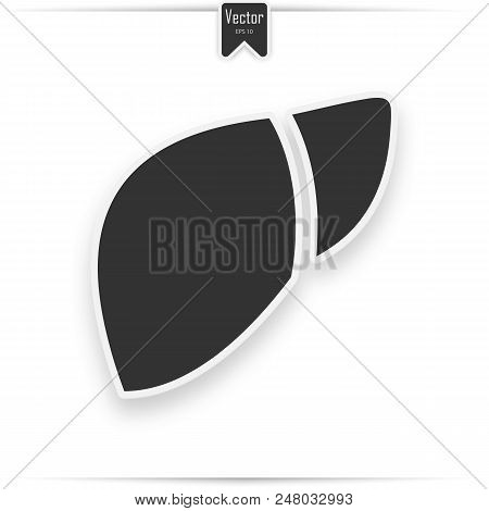 Liver Icon In Trendy Flat Style Isolated On White Background. Symbol For Your Web Site Design, Logo,