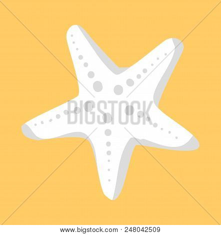 White Starfish Or Sea Star Star-shaped Echinoderm On Beige Sand Background. Starfish Colorful Marine
