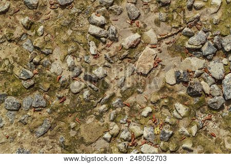 The Dirt Ground Pebble Road Texture Close Up