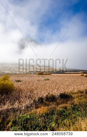 Mountain Fields Landscape In New Zealand Alps