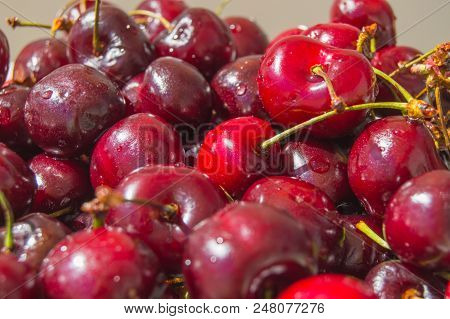 Fresh Ripe Cherry On A Plate, Top View.