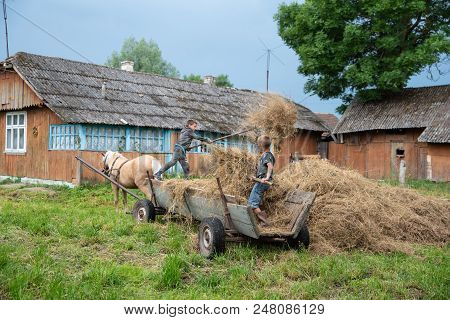 Litynia Village, Ukraine - June 02, 2018: Two Young Boys Throw Hay Out Of A Cart, Stocking Hay For L