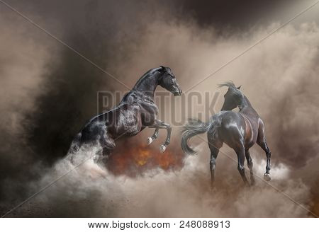 Two Black Dangerous Horse Jumping In The Dust Storm And Fire