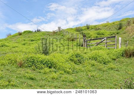 Rural Scenery In Taranaki, New Zealand
