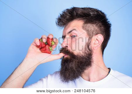 Hipster Bearded Holds Strawberries Fist As Juice Bottle. Man Strict Face Enjoy Fresh Drink Strawberr