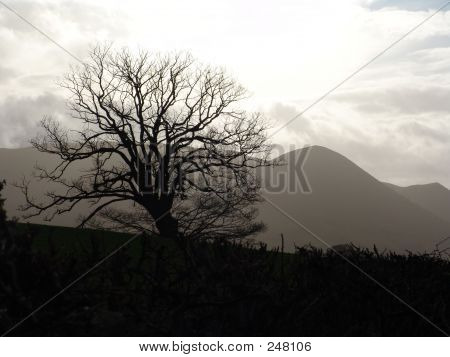 Winterszene In Wales