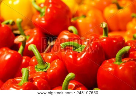 Colourful Mix Of Different Red, Orange, Yellow Fresh Bell Pepper At Market.