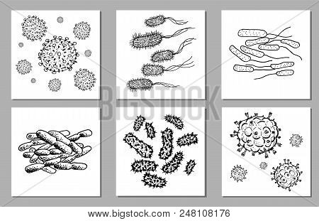 Vector Set Of Black Sketch Bacteria Isolated On White Backgtound. Microbe In Medical Therapy. Germ I