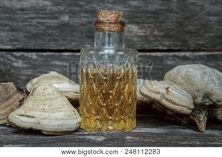 Chaga (shelf Fungus) Mushroom Medicinal Tincture On Wooden Background. Naturopathy. Alternative Medi