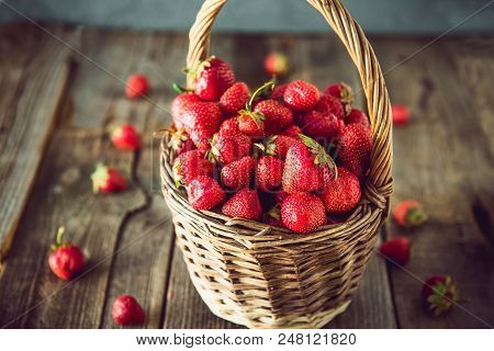 Ripe Sweet Strawberries In Wicker Basket On Lold Wooden Rustic Table. Agriculture Farmer Harvest. Co