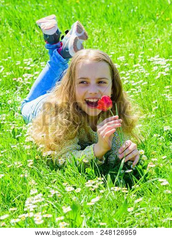 Girl With Long Hair Lying On Grassplot, Grass Background. Child Enjoy Fragrance Of Tulip While Lying