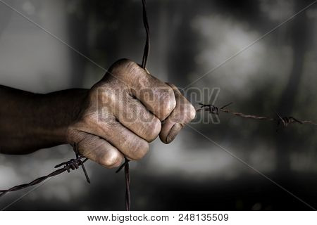 Rough Hands Holding The Barbed Wire On Black Background, A Concept About The Detention And Stress.