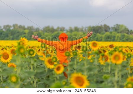 Man in orange clother in sunner sunflowers field